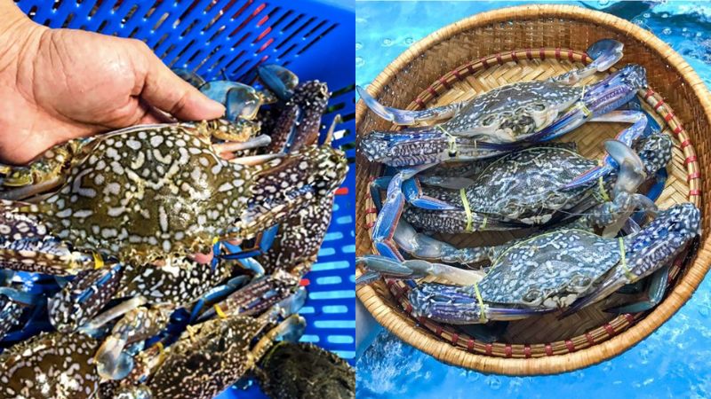 cach-nau-banh-canh-ghe-14