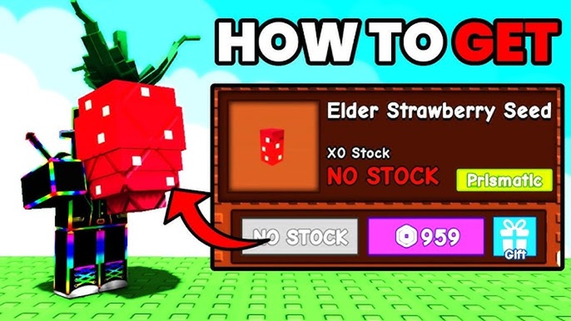 cach-nhan-elder-strawberry-2