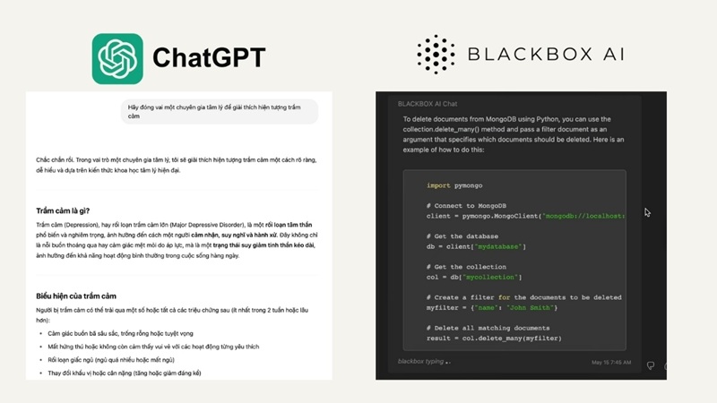 chatgpt-vs-blackbox-ai-3