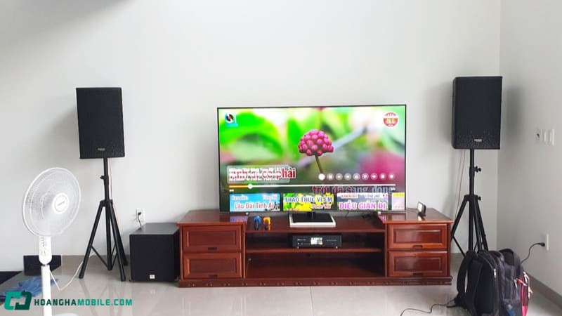 goi-y-dan-karaoke-gia-re-chat-luong-duoi-15-trieu-dong-cho-gia-dinh-9