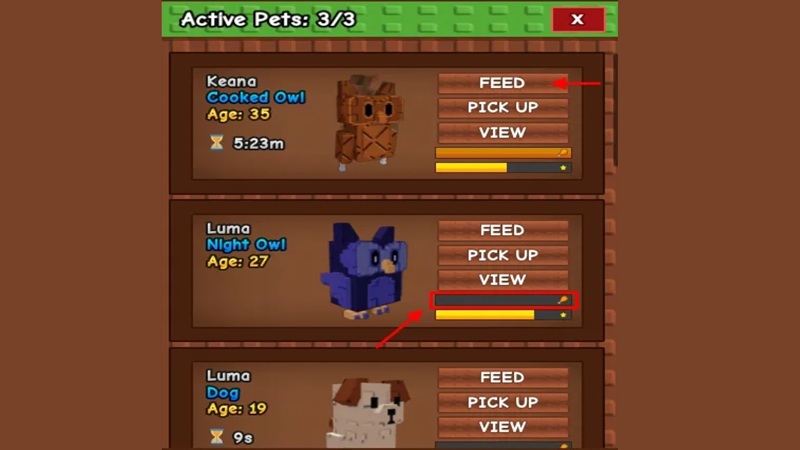 pets-grow-a-garden-1