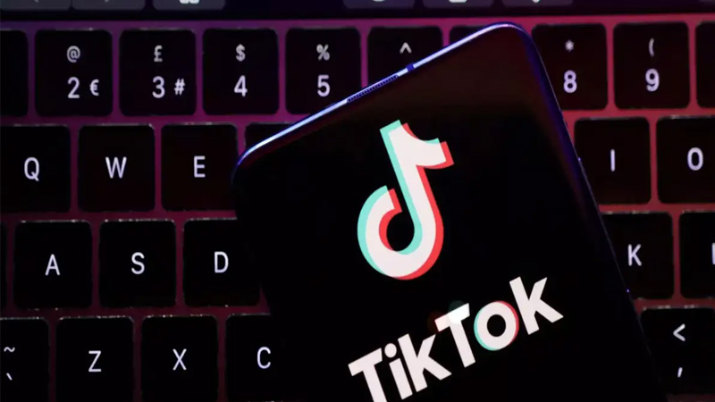 tai-tiktok-ve-may-tinh-16