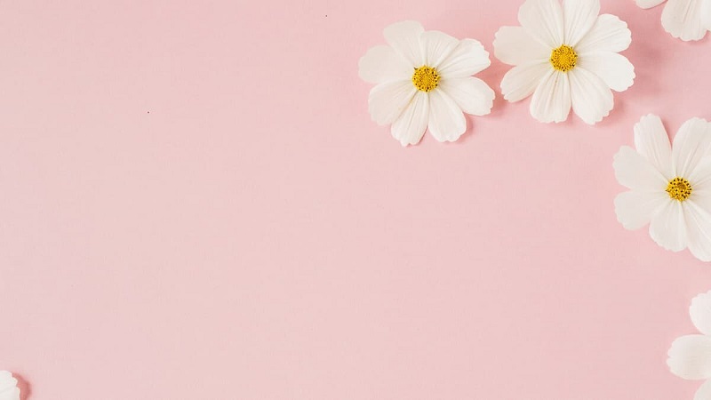 trang-tri-thiep-8-3-23