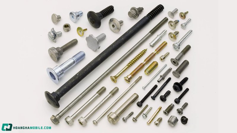 cac-loai-oc-vit-thong-dung-nhat-hien-nay-cong-dung-cua-tung-loai-1