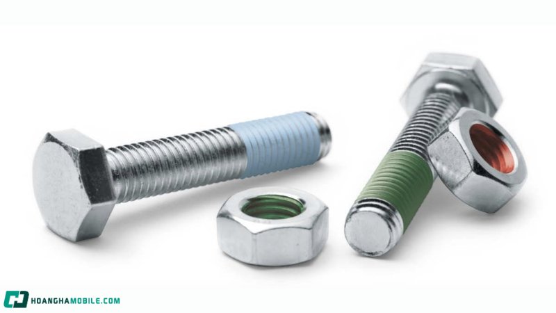 cac-loai-oc-vit-thong-dung-nhat-hien-nay-cong-dung-cua-tung-loai-10