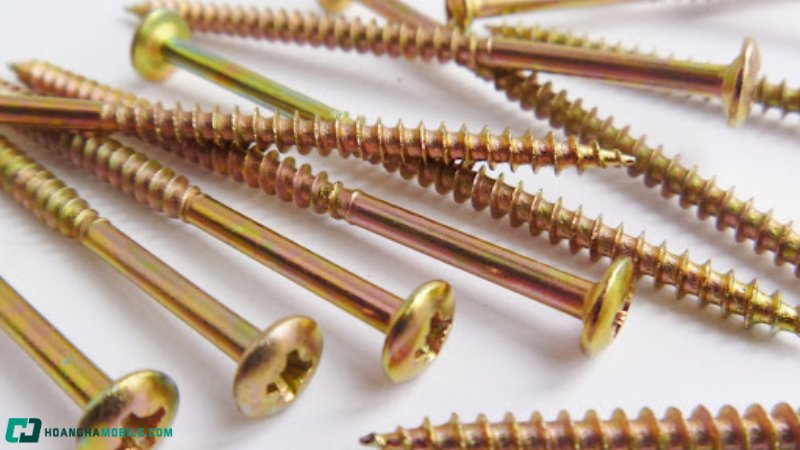 cac-loai-oc-vit-thong-dung-nhat-hien-nay-cong-dung-cua-tung-loai-11