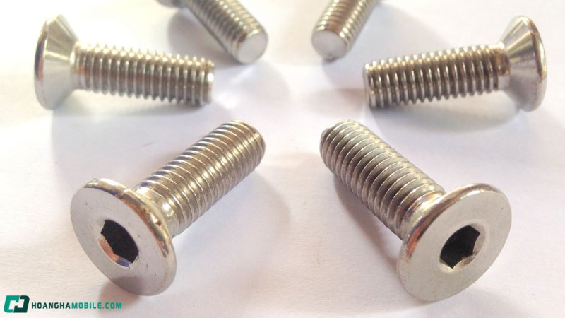 cac-loai-oc-vit-thong-dung-nhat-hien-nay-cong-dung-cua-tung-loai-12