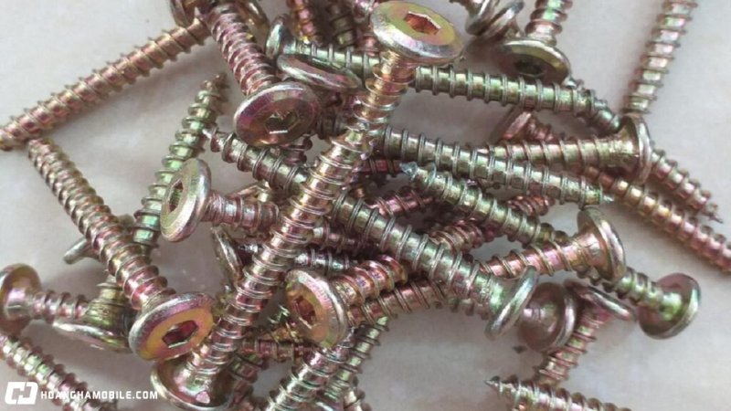 cac-loai-oc-vit-thong-dung-nhat-hien-nay-cong-dung-cua-tung-loai-13