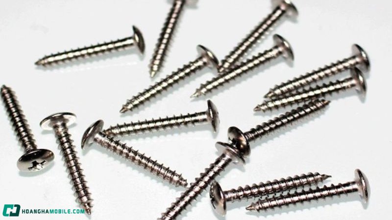 cac-loai-oc-vit-thong-dung-nhat-hien-nay-cong-dung-cua-tung-loai-14