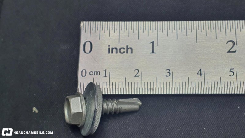 cac-loai-oc-vit-thong-dung-nhat-hien-nay-cong-dung-cua-tung-loai-15