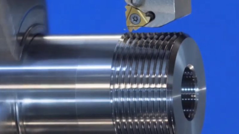 cac-loai-oc-vit-thong-dung-nhat-hien-nay-cong-dung-cua-tung-loai-17