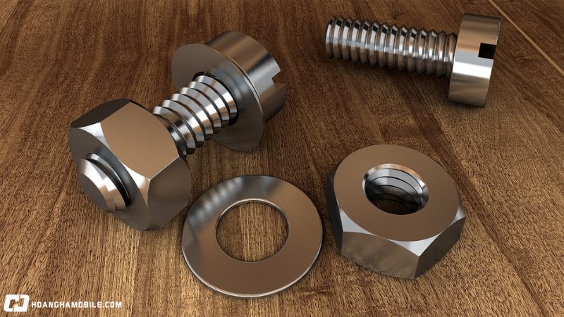 cac-loai-oc-vit-thong-dung-nhat-hien-nay-cong-dung-cua-tung-loai-2