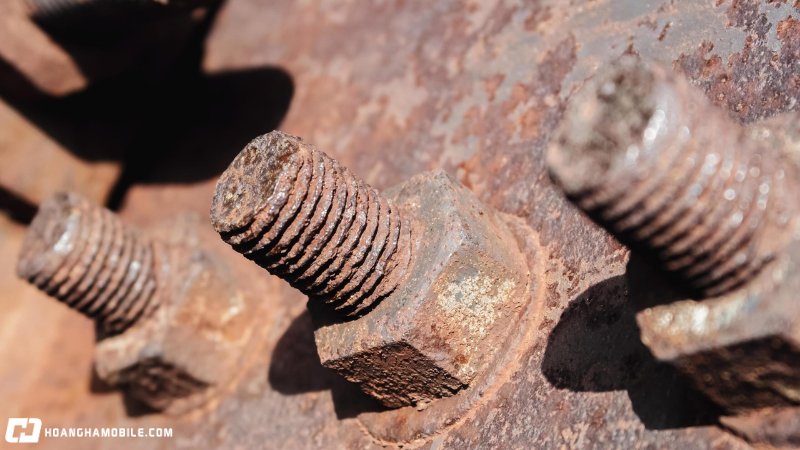 cac-loai-oc-vit-thong-dung-nhat-hien-nay-cong-dung-cua-tung-loai-3