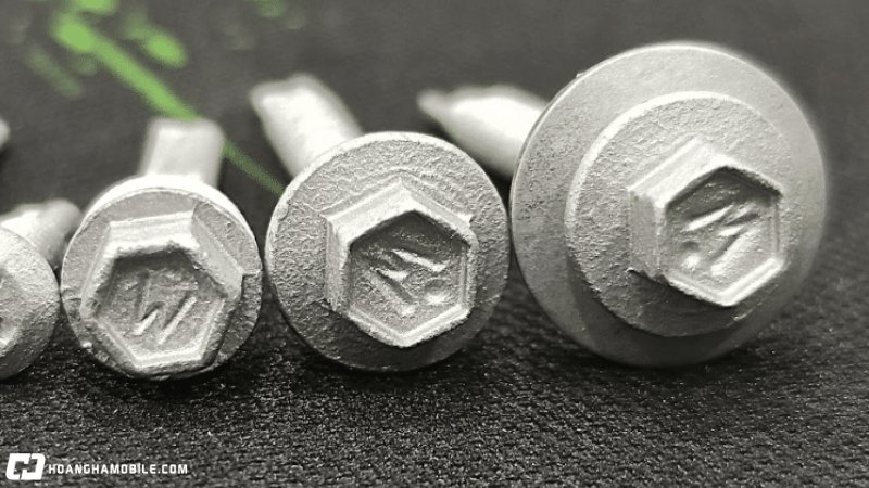 cac-loai-oc-vit-thong-dung-nhat-hien-nay-cong-dung-cua-tung-loai-5