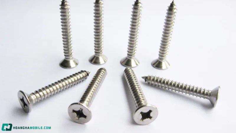 cac-loai-oc-vit-thong-dung-nhat-hien-nay-cong-dung-cua-tung-loai-3