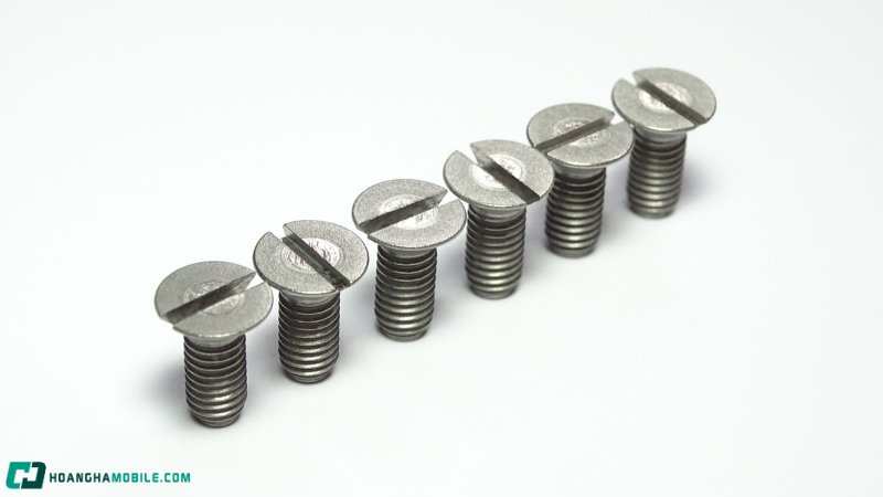 cac-loai-oc-vit-thong-dung-nhat-hien-nay-cong-dung-cua-tung-loai-8