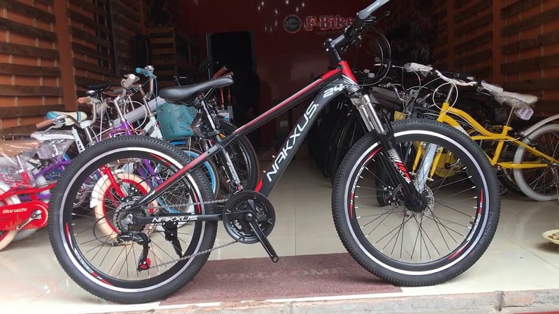 xe-dap-the-thao-gia-re-11