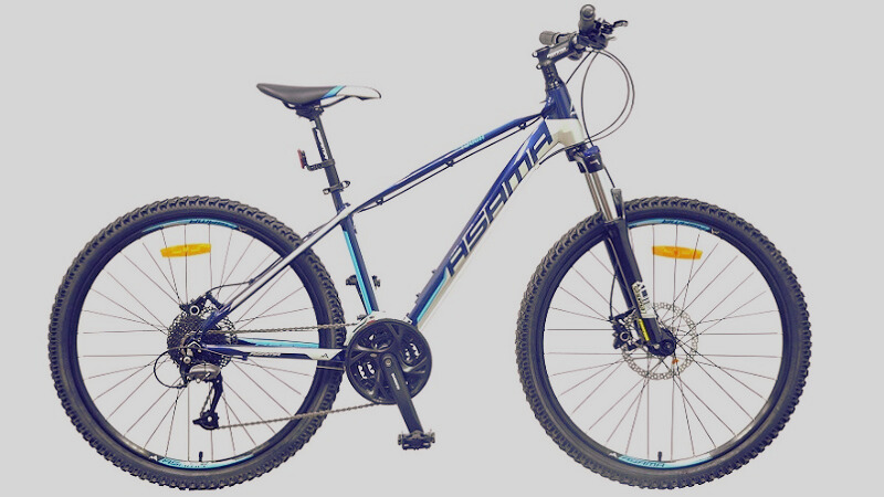 xe-dap-the-thao-gia-re-9