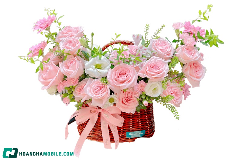 y-nghia-cua-hoa-hong-09