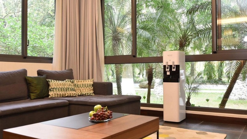 Cay-loc-nuoc-nong-lanh-6