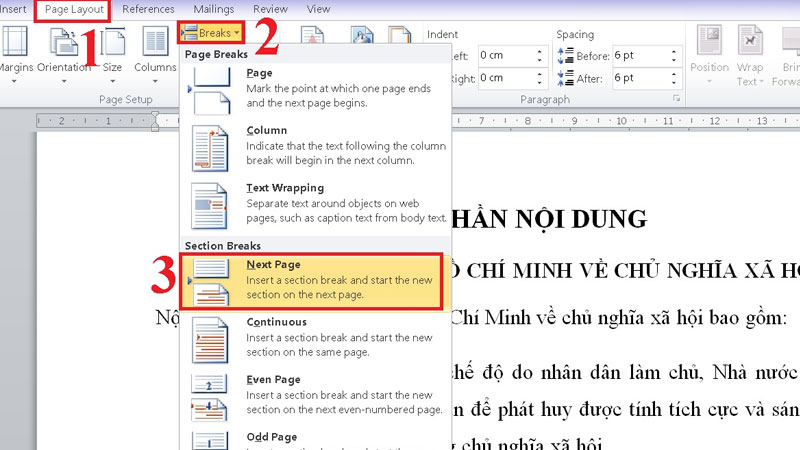 cach-danh-so-trang-trong-word-theo-y-muon-1