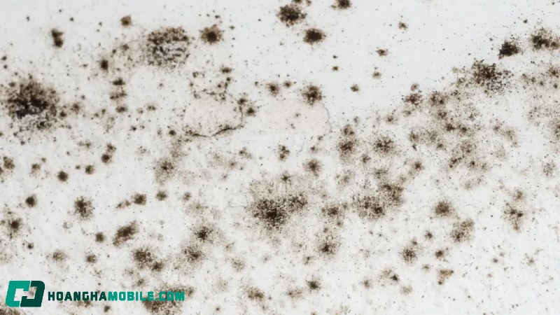 cach-tay-moc-quan-ao-1