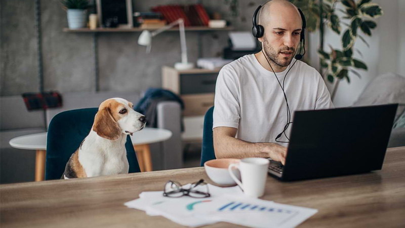 cong-viec-lam-them-tai-nha-10