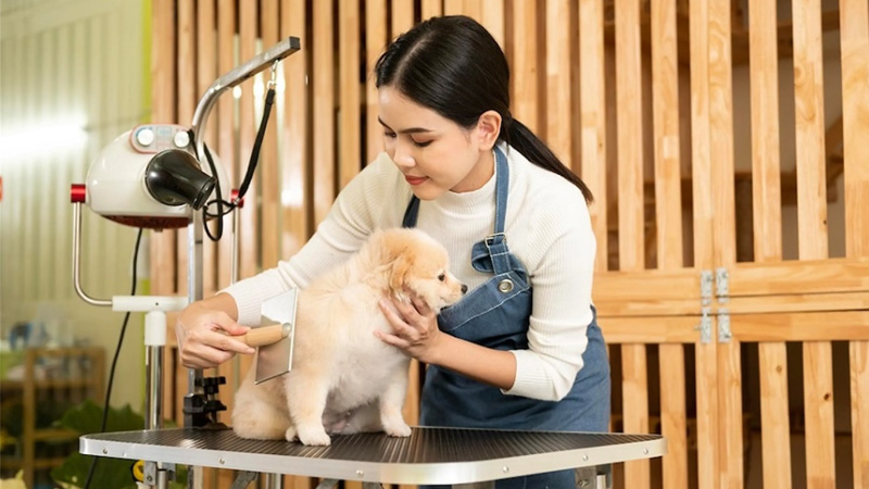 cong-viec-lam-them-tai-nha-8