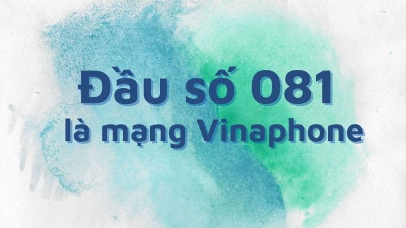 dau-so-081-la-mang-gi-1