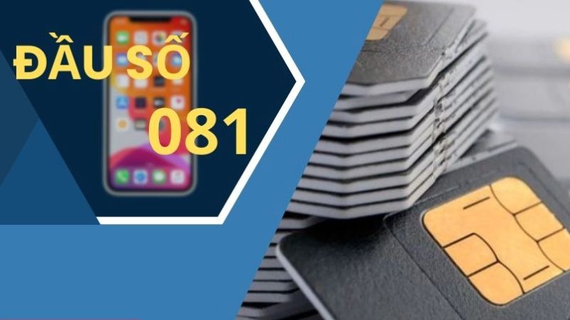 dau-so-081-la-mang-gi-12