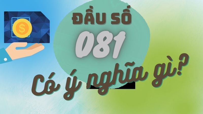 dau-so-081-la-mang-gi-3