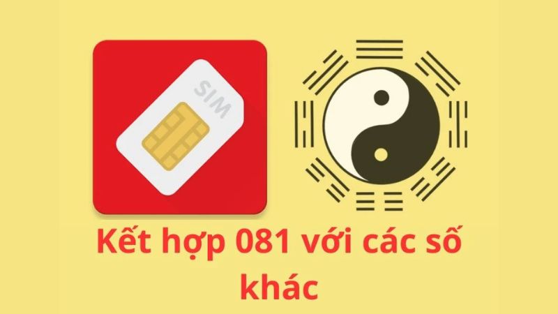 dau-so-081-la-mang-gi-4