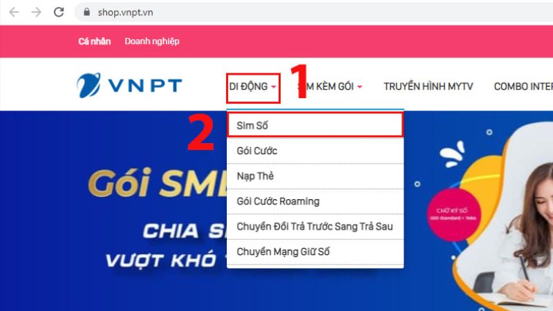 dau-so-081-la-mang-gi-6