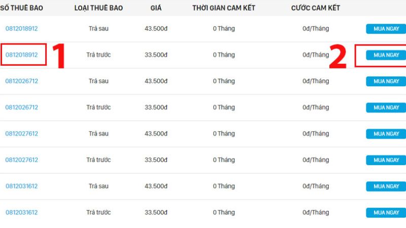 dau-so-081-la-mang-gi-8