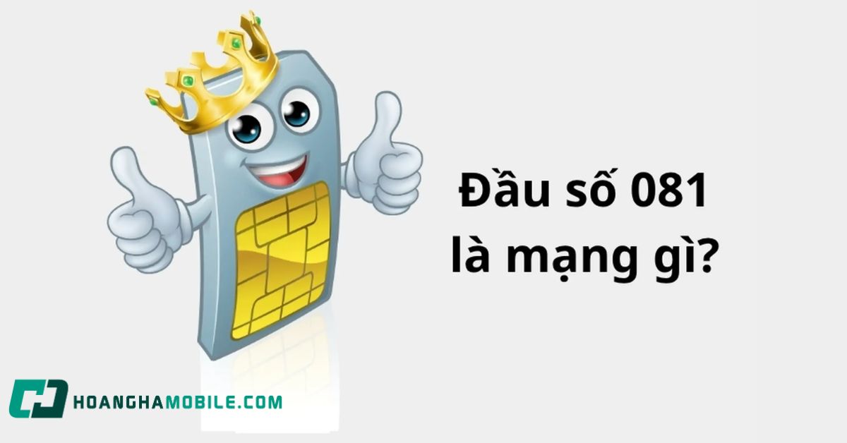 dau-so-081-la-mang-gi