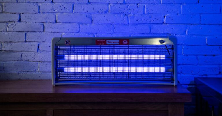 den-bat-muoi-dien-quang