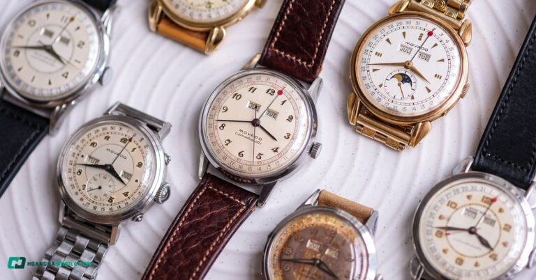 dong-ho-movado-thumbnail