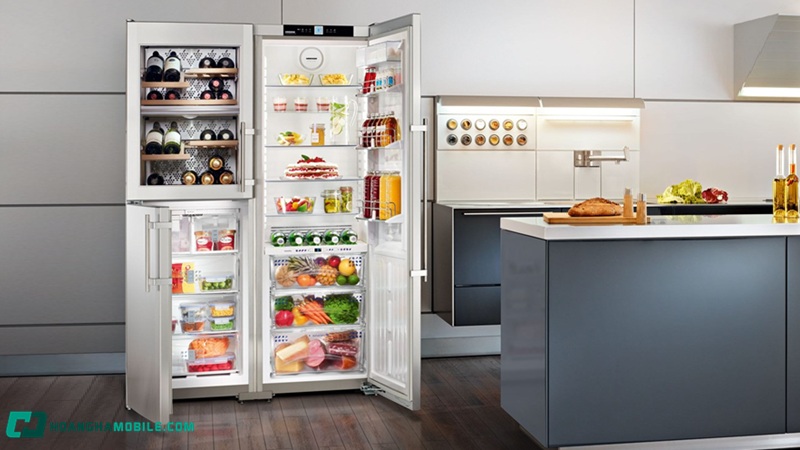 gia-tu-lanh-panasonic-06