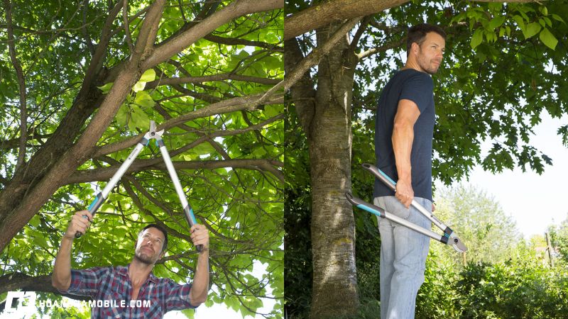 20-loai-kim-thuong-dung-hien-nay-cho-su-dung-trong-gia-dinh-19