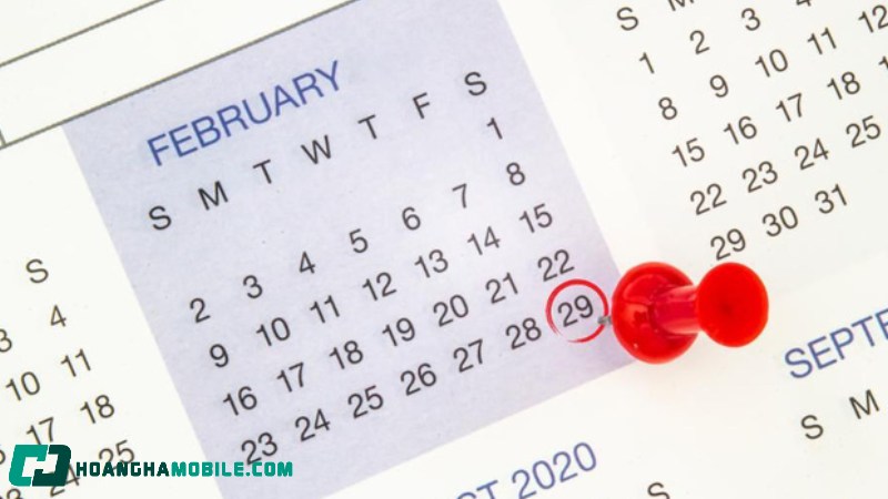 ngay-29-thang-2-8