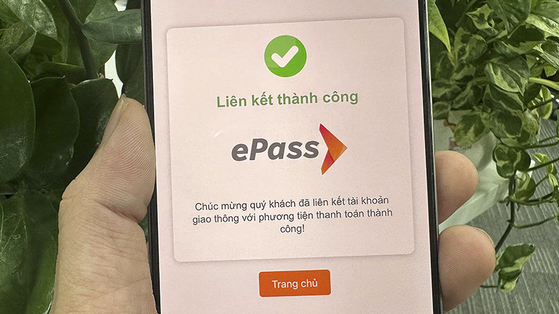 tai-khoan-giao-thong-4