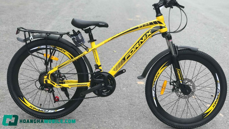 xe-dap-fornix-11
