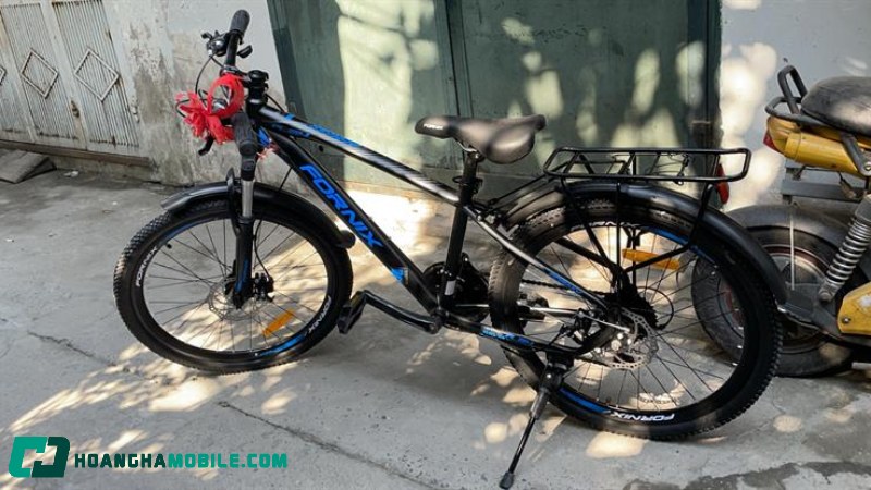 xe-dap-fornix-14