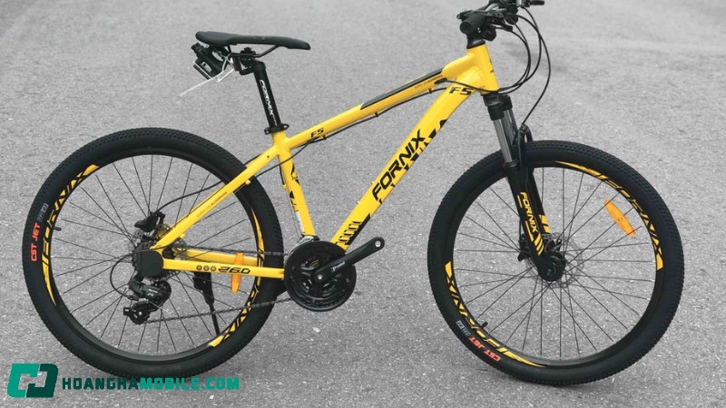 xe-dap-fornix-6