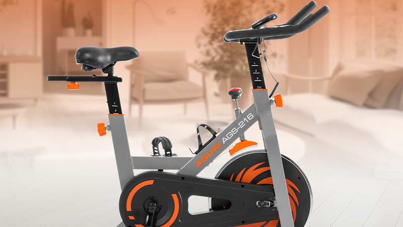 xe-dap-the-duc-tai-nha-1