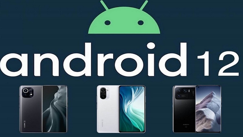 android-12-8