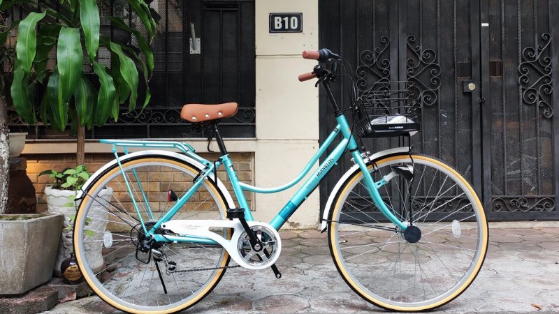 50-anh-xe-dap-du-moi-dong-cuc-chat-cho-nam-nu-35