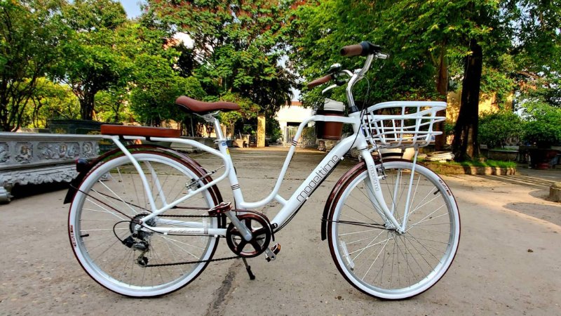 50-anh-xe-dap-du-moi-dong-cuc-chat-cho-nam-nu-40