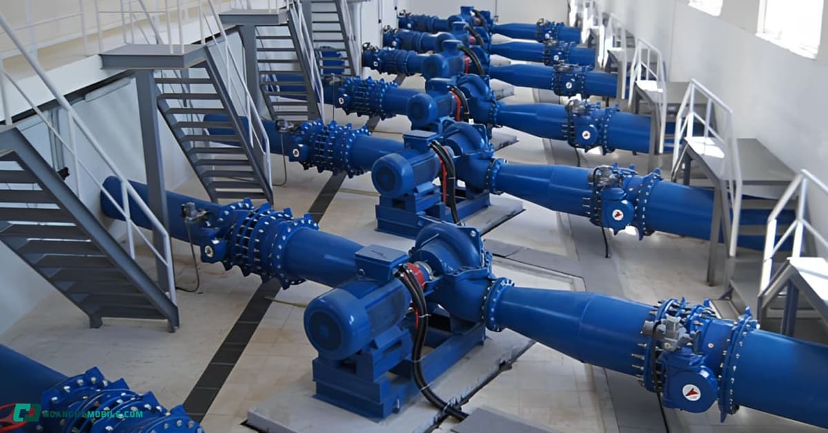 bom-chan-khong-thumbnail