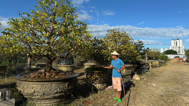 cach-cham-soc-mai-sau-Tet-6